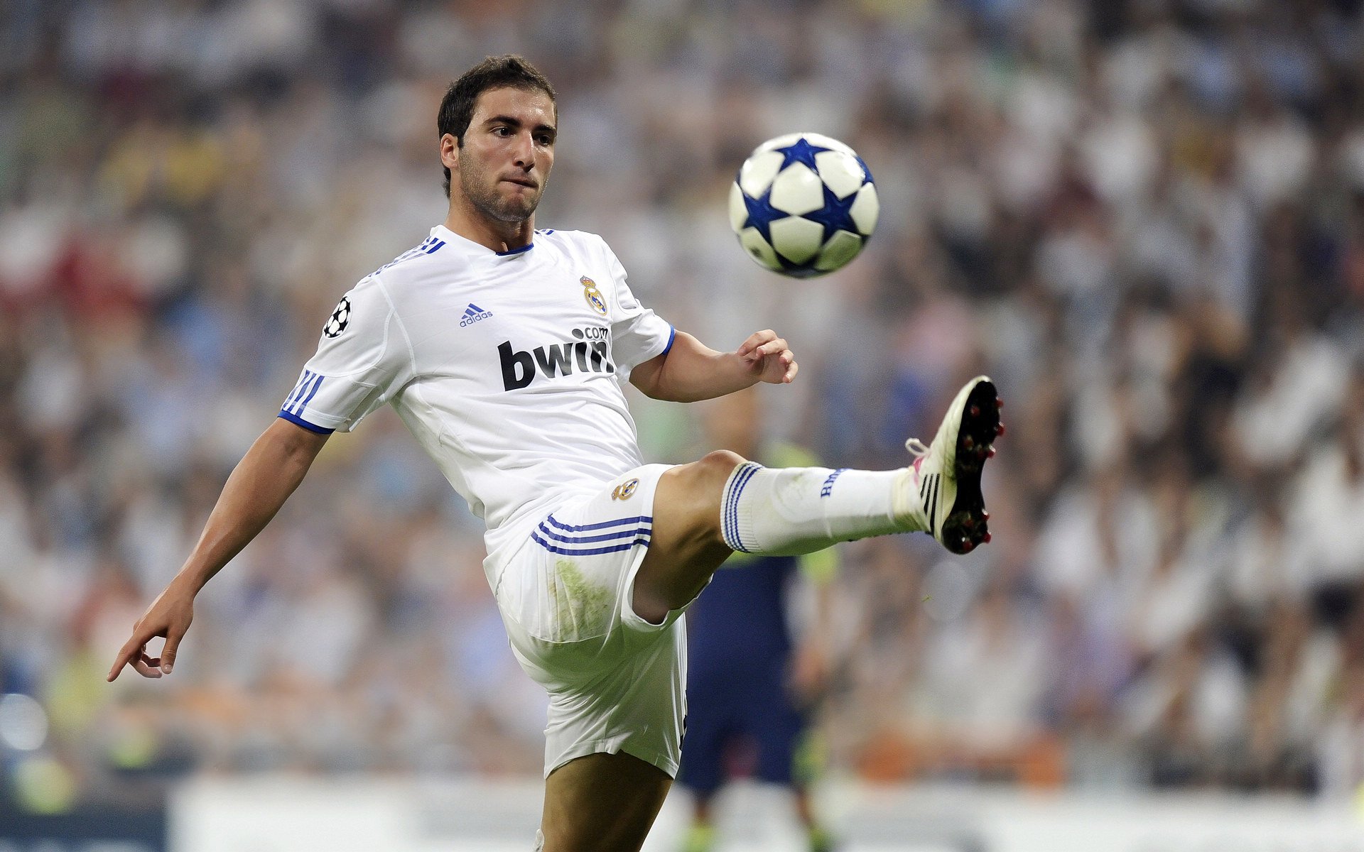 欧洲杯入围球队的备战营地揭晓,条件一流,欧洲杯24支球队是怎么入围的